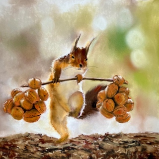 courses pour l’hiver - mes animaux rigolos
