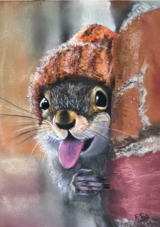Coucou !! - mes animaux rigolos