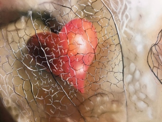 L'amour en cage - regarder autrement...